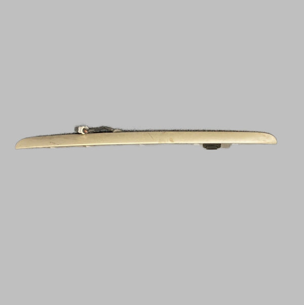 5012554AA Grand Cherokee WJ (99-04) Champagne Hatch Trim / License Plate Light