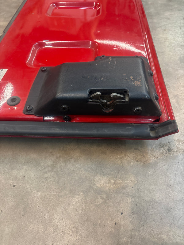 Jeep Wrangler TJ 97-02 Rear Tailgate - Flame Red (PR4)