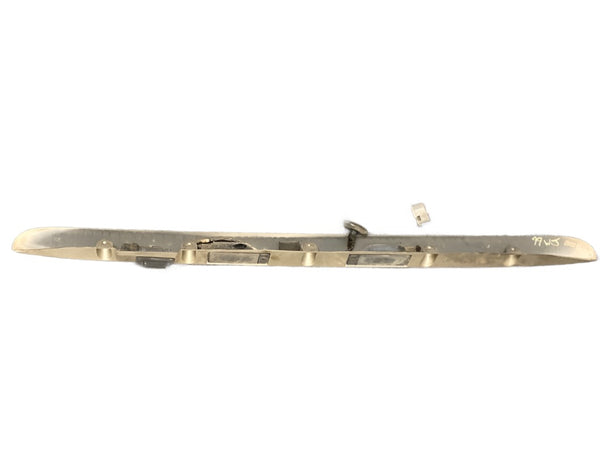 5012554AA Grand Cherokee WJ (99-04) Champagne Hatch Trim / License Plate Light