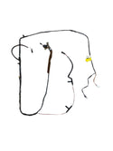 56009703AH Dome Lamp Wire Harness for Jeep Cherokee XJ (2001)