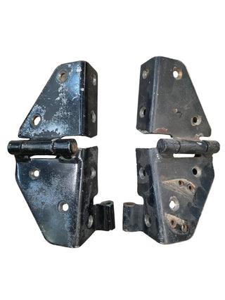 Windshield Hinge SET STEEL PAINTED Jeep CJ / Wrangler YJ (76-95)